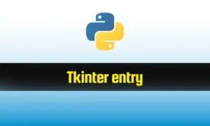 Read more about the article Tkinter Entry