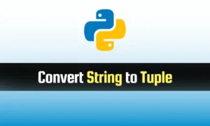 Read more about the article Convert String to Tuple in Python